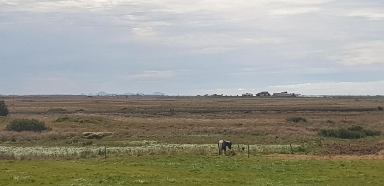 Hotel Efri-Gegnisholar Selfoss Zewnętrze zdjęcie