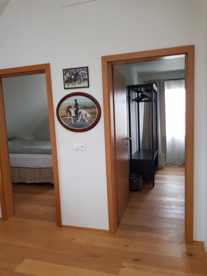 Hotel Efri-Gegnisholar Selfoss Zewnętrze zdjęcie